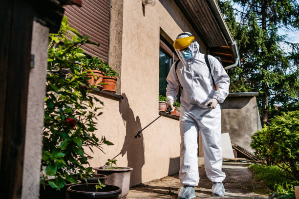 Best Termite Control Services  in Hamlin, WV