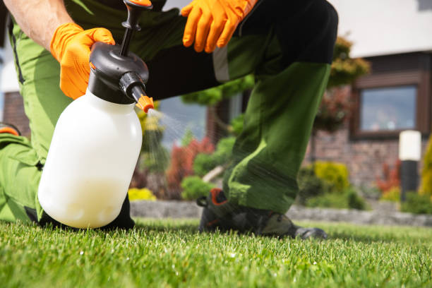 Best Affordable Pest Control Services  in Hamlin, WV